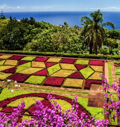 O Jardim Botânico é um dos lugares mais importantes da ilha da Madeira.
