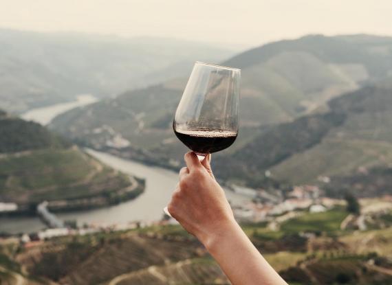 Aproveite os nossos cruzeiros para degustar uma das iguarias do Douro: o vinho.
