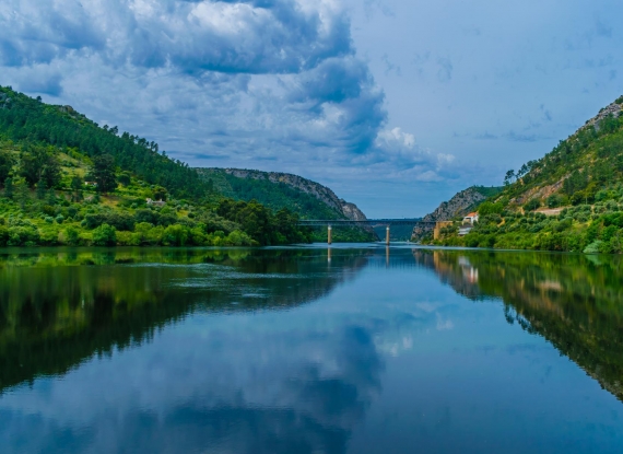 Junto ao rio Tejo vai poder desfrutar de uns dias relaxantes em plena harmonia com a natureza. 