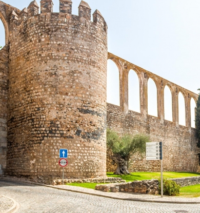 Visite Serpa e descubra locais como o castelo ou o centro histórico. 